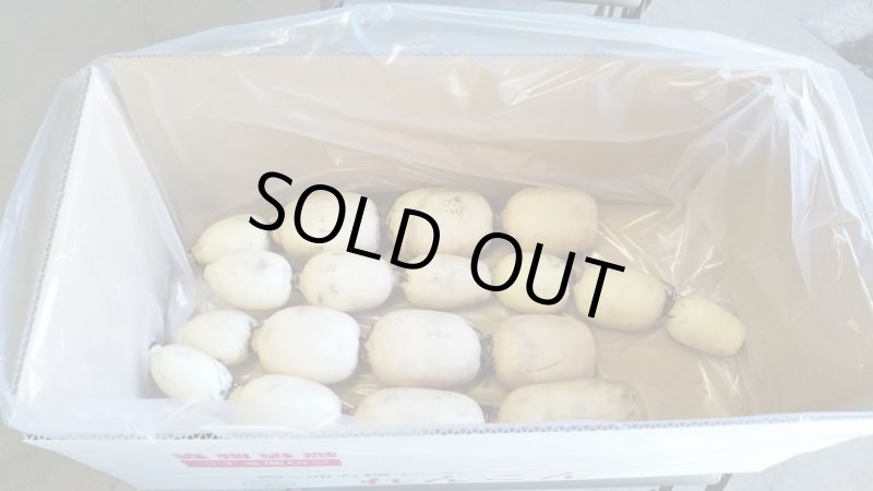 画像3: れんこん<4kg>(ギフト箱入り) (3)