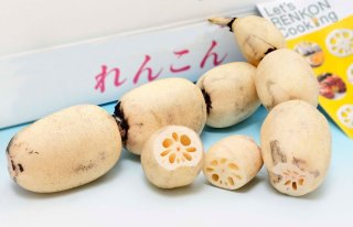 れんこん通販 茨城県 菅谷れんこん農園