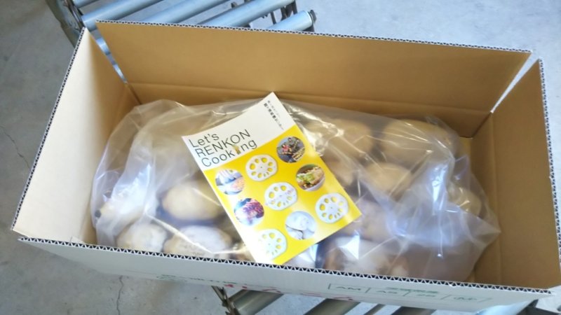 画像3: れんこん＜２ｋｇ＞ギフト箱入り (3)