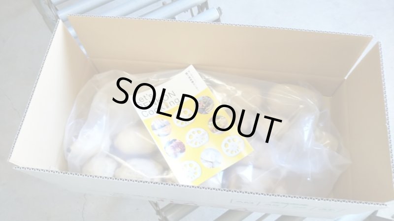 画像3: れんこん<2kg>ギフト箱入り (3)